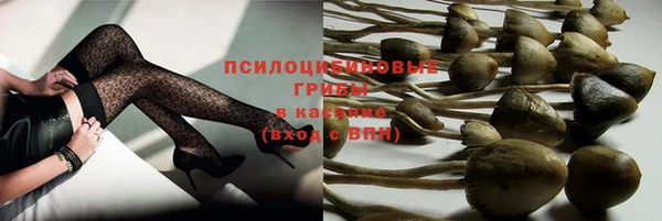 амф Липки