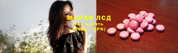 амф Липки