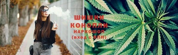 амф Липки